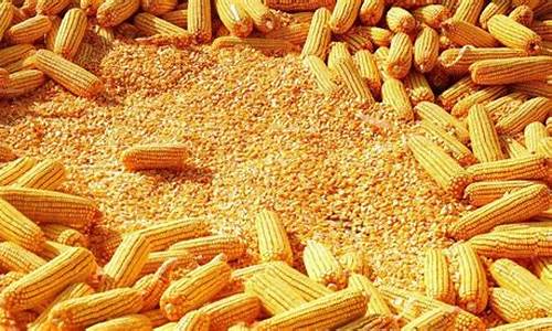 玉米期货行情特点(玉米期货行情特点有哪些)_https://hz.qldgs.com_上期所_第1张