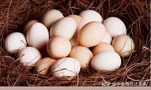 鸡蛋期货的年底行情(2021鸡蛋期货行情走势分析)_https://hz.qldgs.com_大商所_第1张
