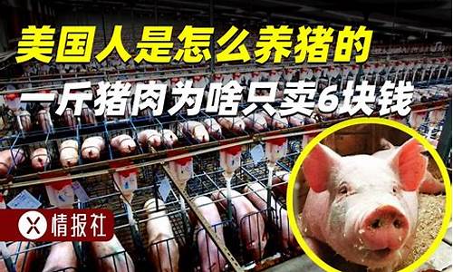 2022美国猪肉期货行情(美国猪肉期货的代码是什么)_https://hz.qldgs.com_上期能源_第1张