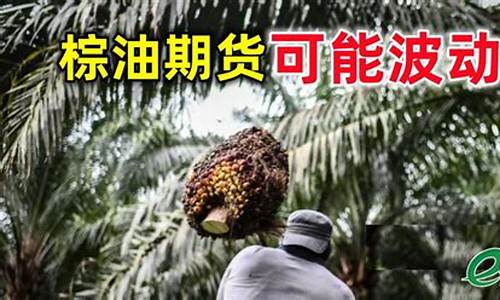 意大利棕油期货行情(棕榈油期货走势分析)_https://hz.qldgs.com_上期能源_第1张