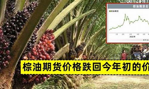 棕油期货价格行情分析(pp期货价格行情分析)_https://hz.qldgs.com_上期能源_第1张