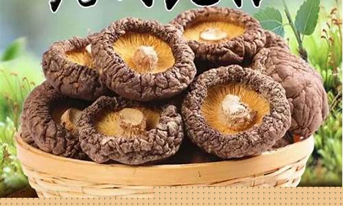 干香菇期货行情最新(干香菇图片大全图)_https://hz.qldgs.com_大商所_第1张