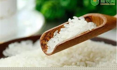 大米期货国际行情网(国际大米期货价格)_https://hz.qldgs.com_上期所_第1张
